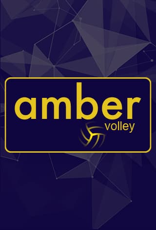 Lietuvos tinklinio čempionatas: Gargždų “Amber Volley” -  Alytaus