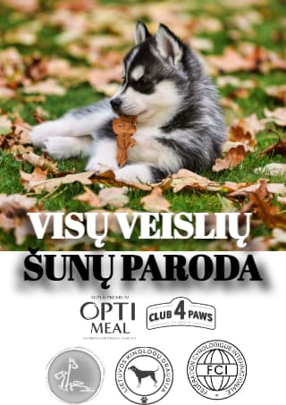 ŠUNŲ PARODA